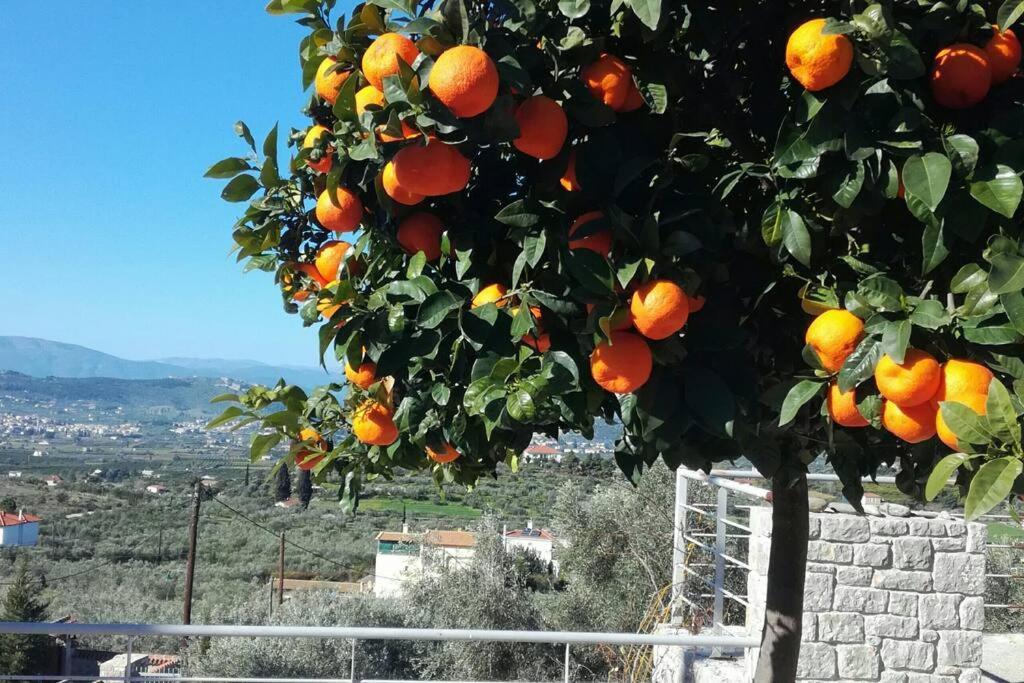 Ferienwohnung Nafplio, Hill With An Amazing View Exterior foto